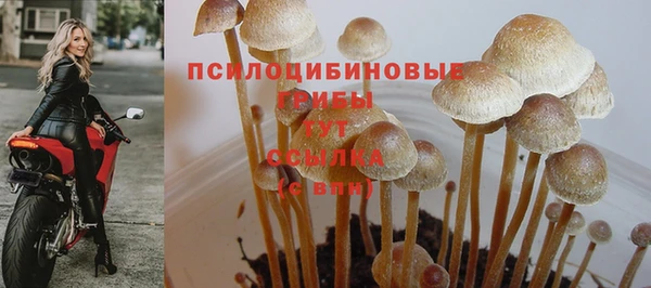 mdma Покачи