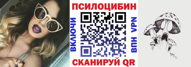 Псилоцибиновые грибы Cubensis Североуральск