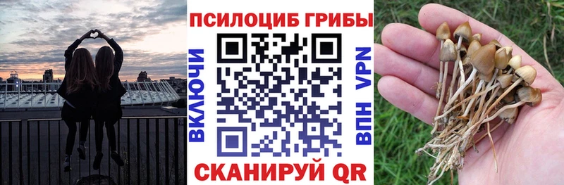 Псилоцибиновые грибы мицелий  Североуральск 